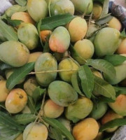 30 KG গোবিন্দভোগ আম ফর্মালিন মুক্ত (সরাসরী সাতক্ষীরার বাগান থেকে)