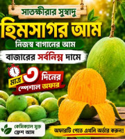 ২০ কেজি সাতক্ষীরার হিমসাগর আম – হোম ডেলিভারি সহ